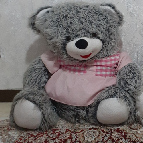 خرس بزرگ طوسی